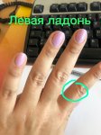 6852FFA2-2C02-4430-9C5F-DFAD7815E40D.jpeg