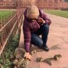 Гуля