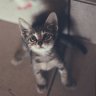sergeev_sergej