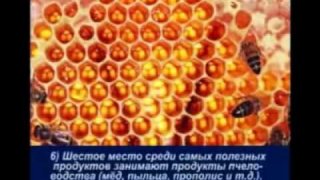 Питание человека(Очень познавательно)
